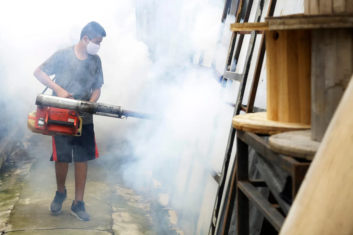 La OPS reporta un aumento de casos de dengue en Costa Rica, Honduras y El Salvador