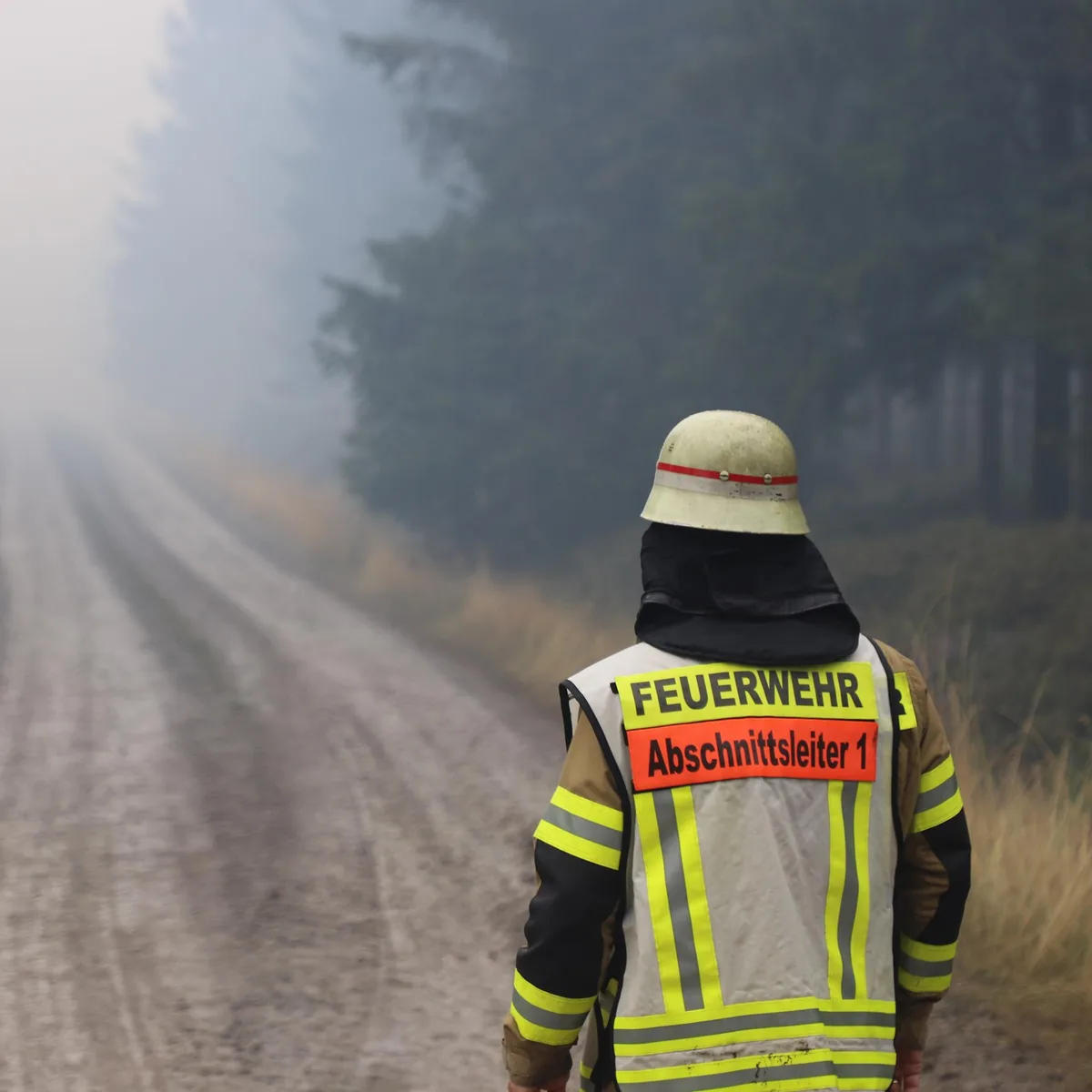 Belgien - Behörden: "Kontrolle über Großbrand im Hohen Venn" - Brand in Hürtgenwald gelöscht