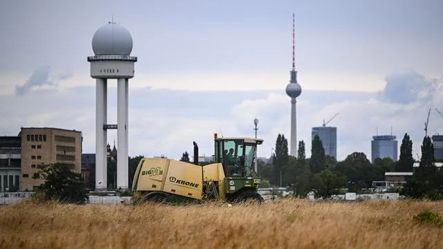 Tempelhofer Feld: Mahd auf Tempelhofer Feld schützt Feldlerche und Insekten