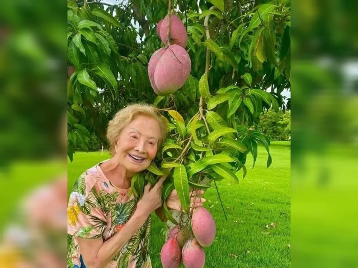 Glória Menezes passou isolamento da Covid-19 com o marido em fazenda de Porto Feliz; veja fotos
