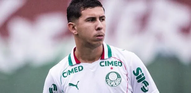 Felipe Teresa: quem é atleta do sub-20 do Palmeiras acusado de agredir a ex