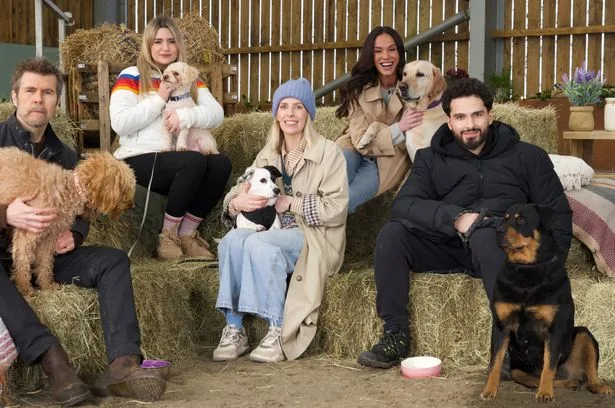 The 20 things UK dog owners do for their pets - from gourmet meals to luxury spa days