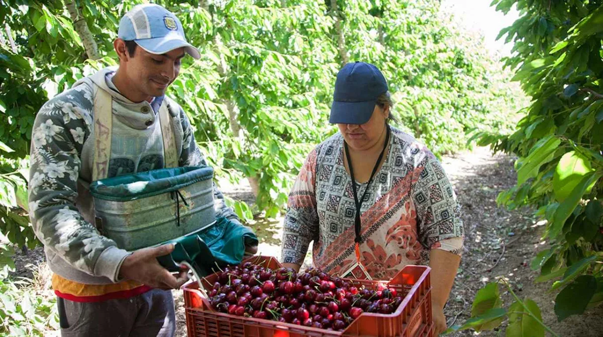 Crece la preocupación en el agro por el vencimiento del régimen que permite a los trabajadores rurales mantener la ayuda estatal