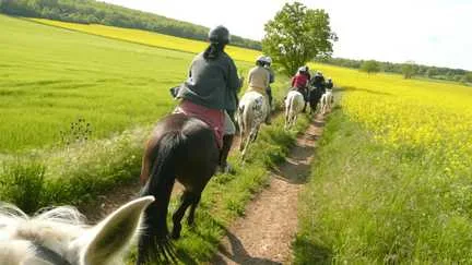Une enquête préliminaire ouverte après la mort d'une adolescente lors d'une promenade à poney, la carrière fermée