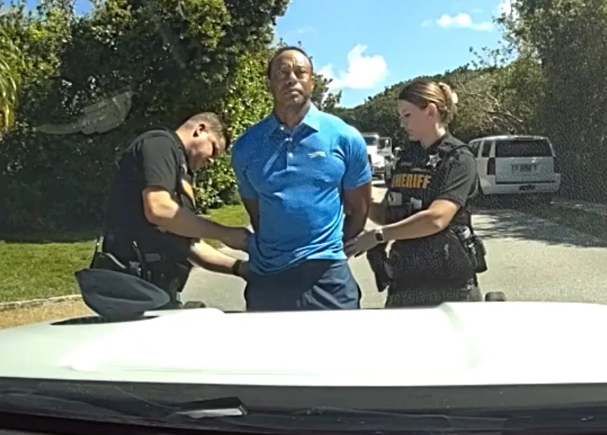 Tiger Woods se declaró culpable por un accidente automovilístico que protagonizó bajo los efectos de sustancias