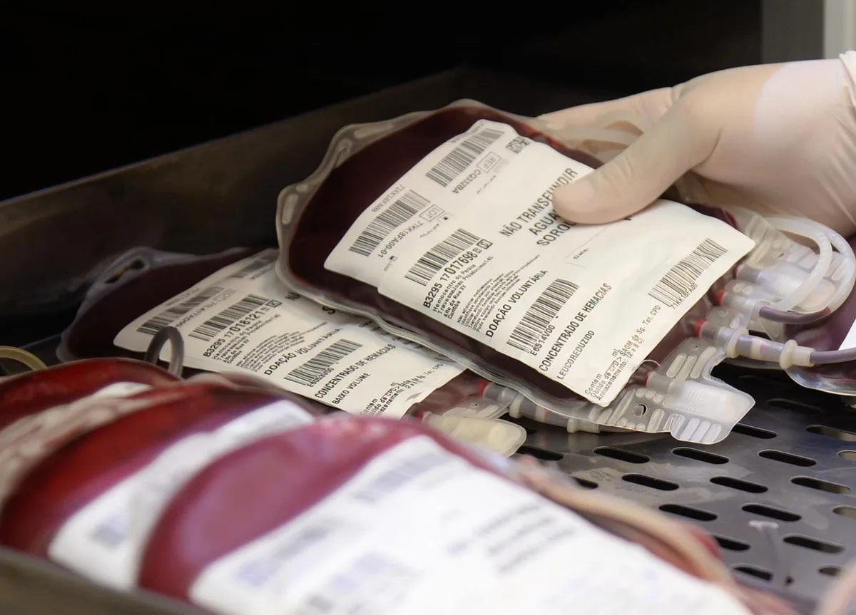 Novas regras para doação de sangue reduzem prazo após tatuagem e ampliam idade para doadores