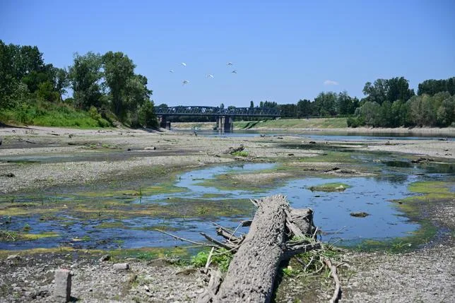 Promenade au bord du Pô asséché, fleuve qui se meurt