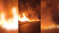 Incêndios na Amazônia: Tarcísio e Nikolas criticam; governo envia reforço