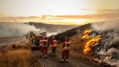 Lessons need to be learned from wildfires, minister admits