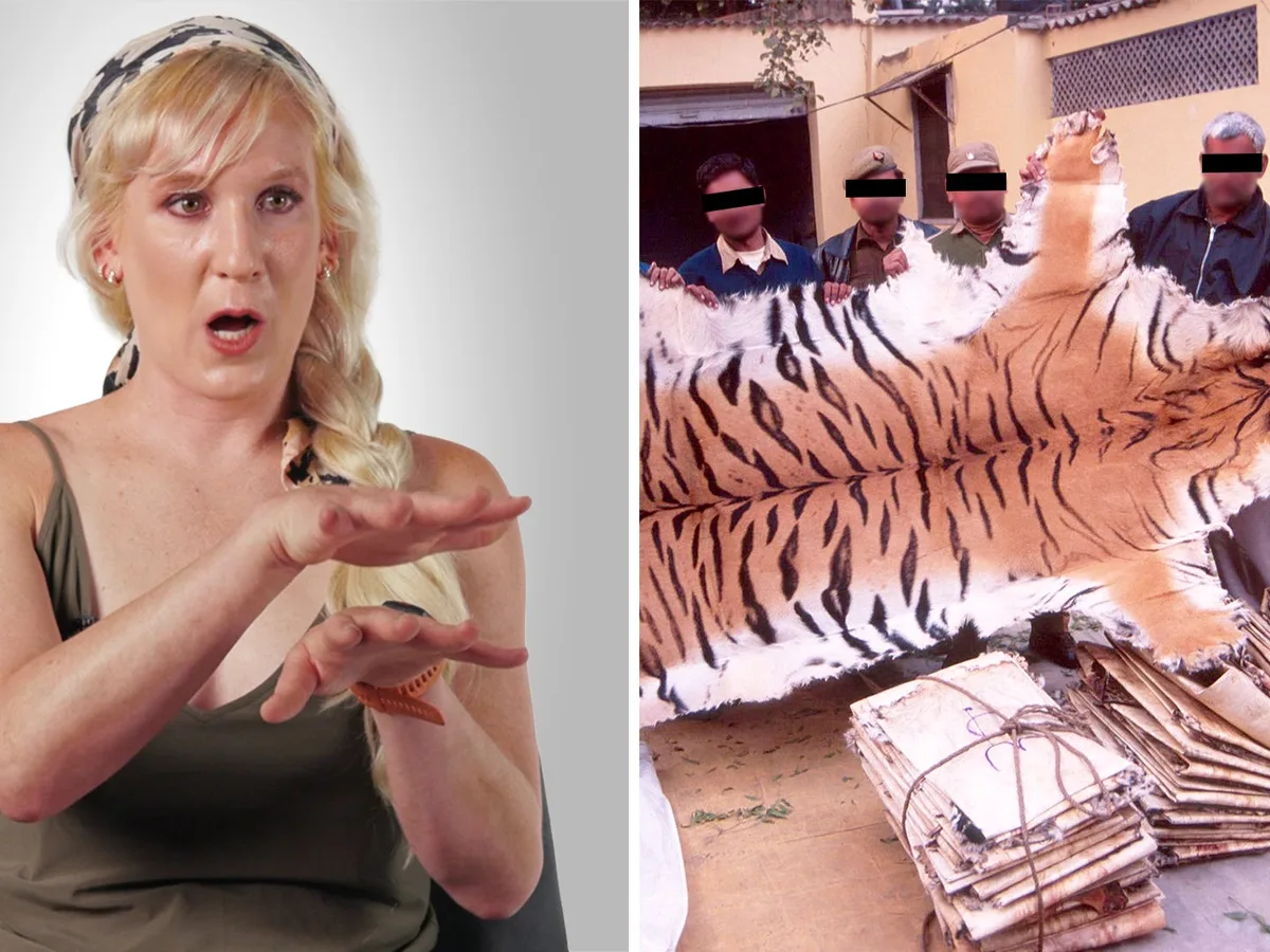 How illegal wildlife poaching actually works, according to an undercover investigator