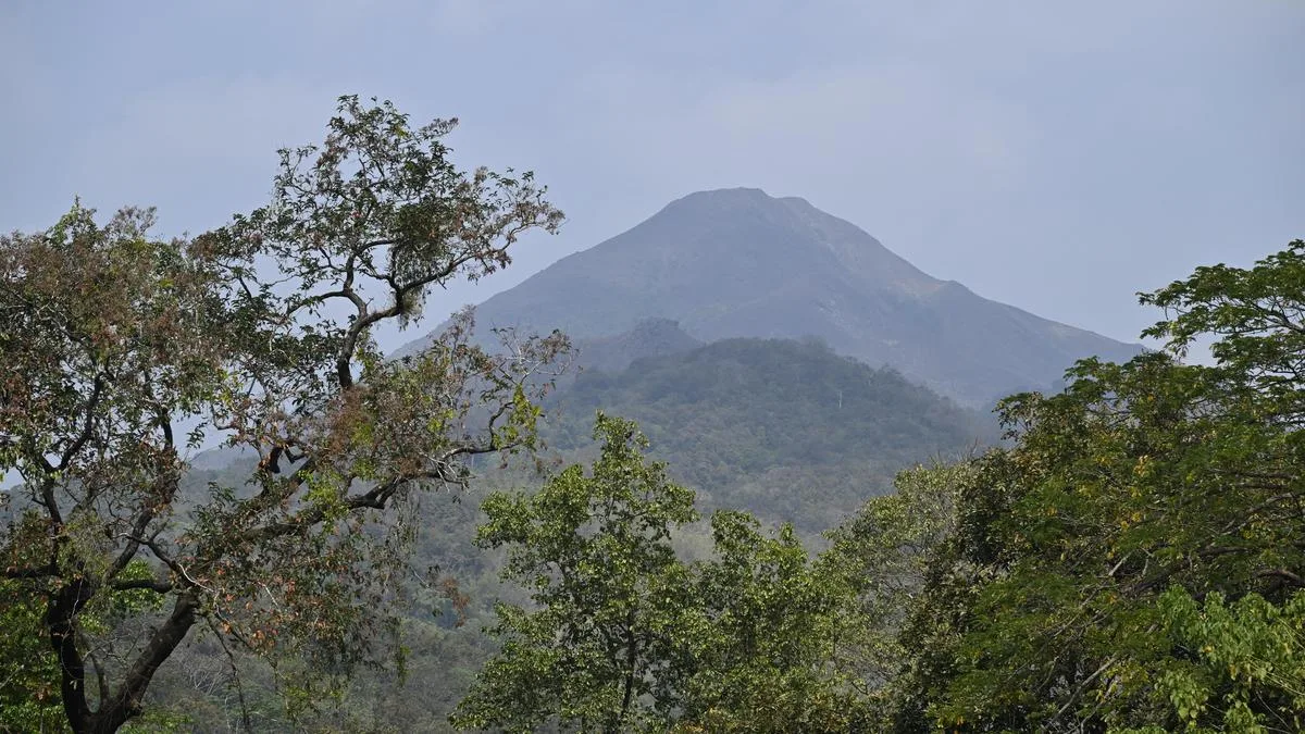 Fear revisits residents of Western Ghats