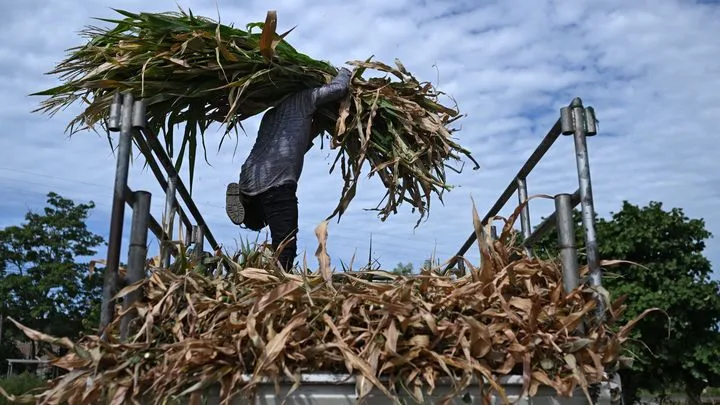 El Niño : un phénomène géopolitique ?