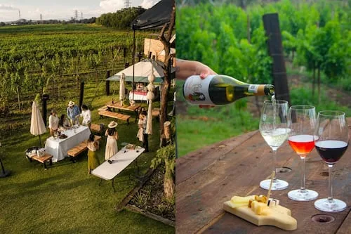 Qué hacer en Cava 57, uno de los mejores viñedos de Querétaro