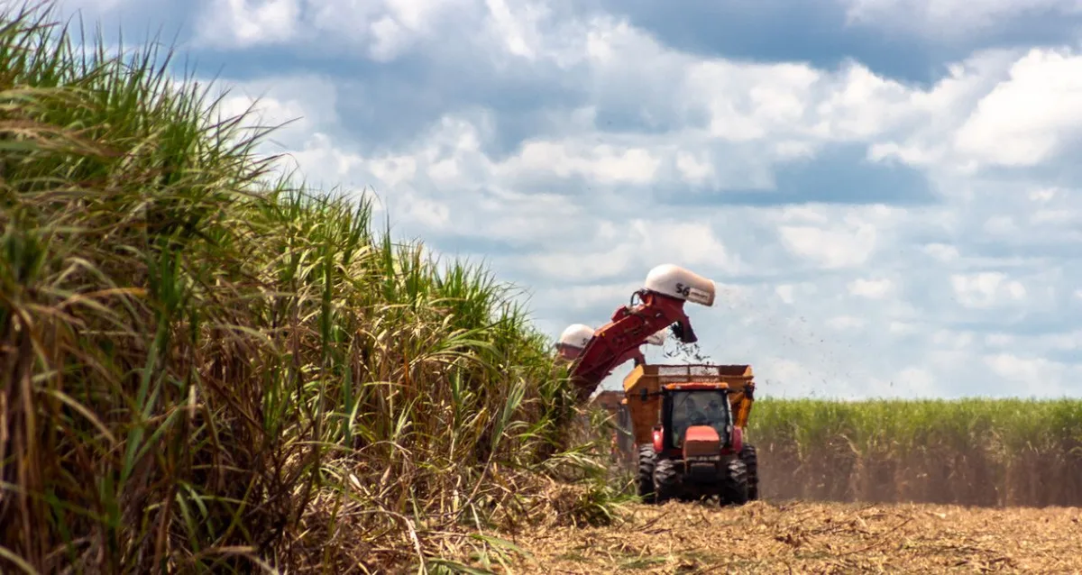 Preço agrícola competitivo do Brasil deve incitar barreiras externas, diz presidente da Abag
