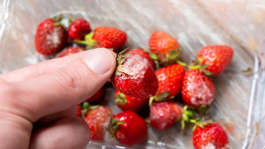 Seaweed-based coating could keep strawberries fresh for days without refrigeration, study finds