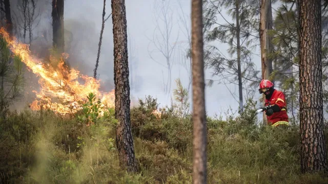 Fogo de Vinhais dominado. 2 dos bombeiros feridos estão em estado grave