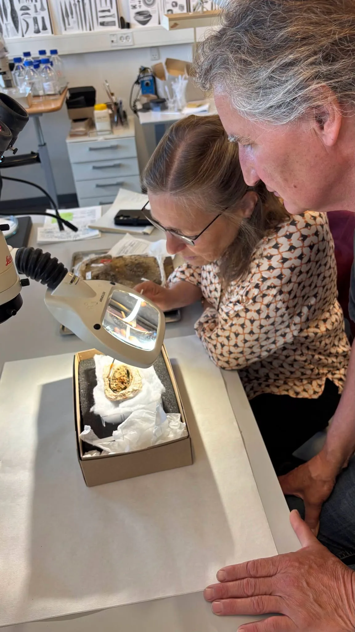Restos de roupa viking são descobertos em túmulo raro de 1,3 mil anos