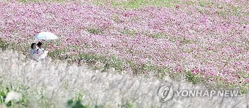 충북 가끔 구름 많고 일교차 커…낮 최고 23∼25도