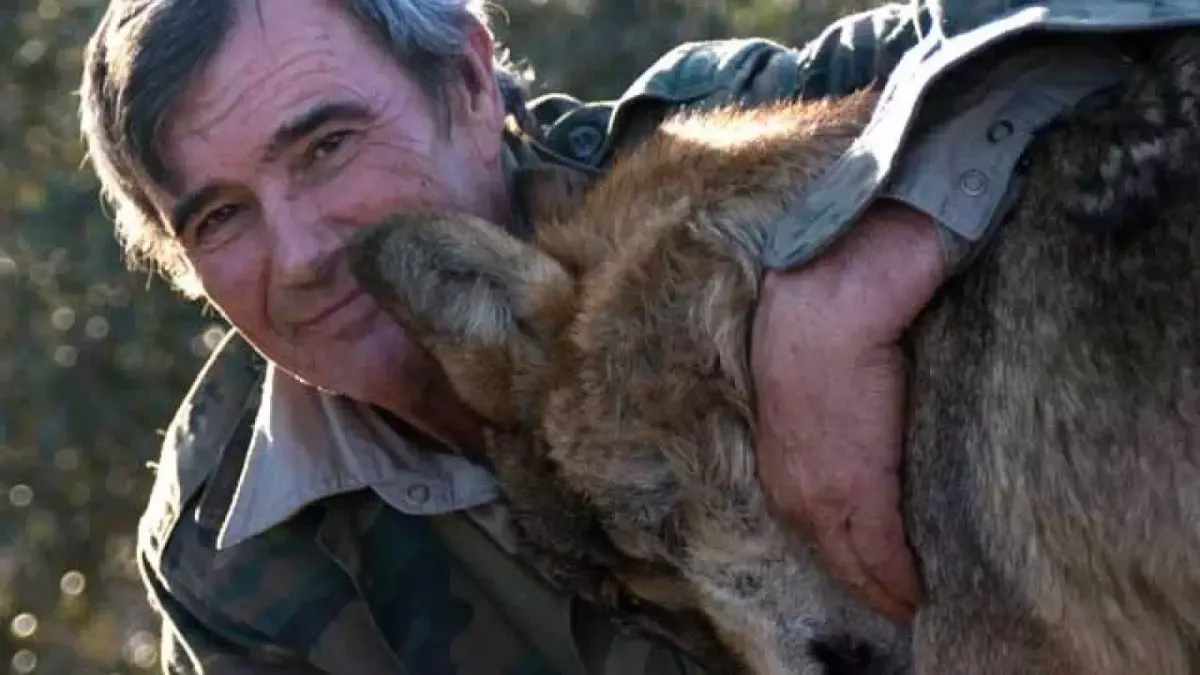 Marcos Rodríguez Pantoja, el "niño salvaje" español que fue más feliz con los lobos que entre los seres humanos