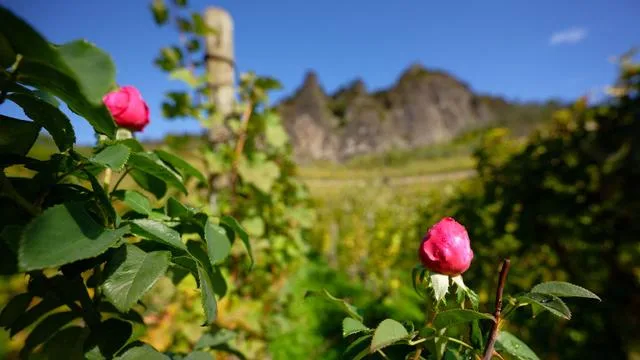 Sonne und milde Temperaturen: Neue Woche bringt Temperaturen um die 20 Grad