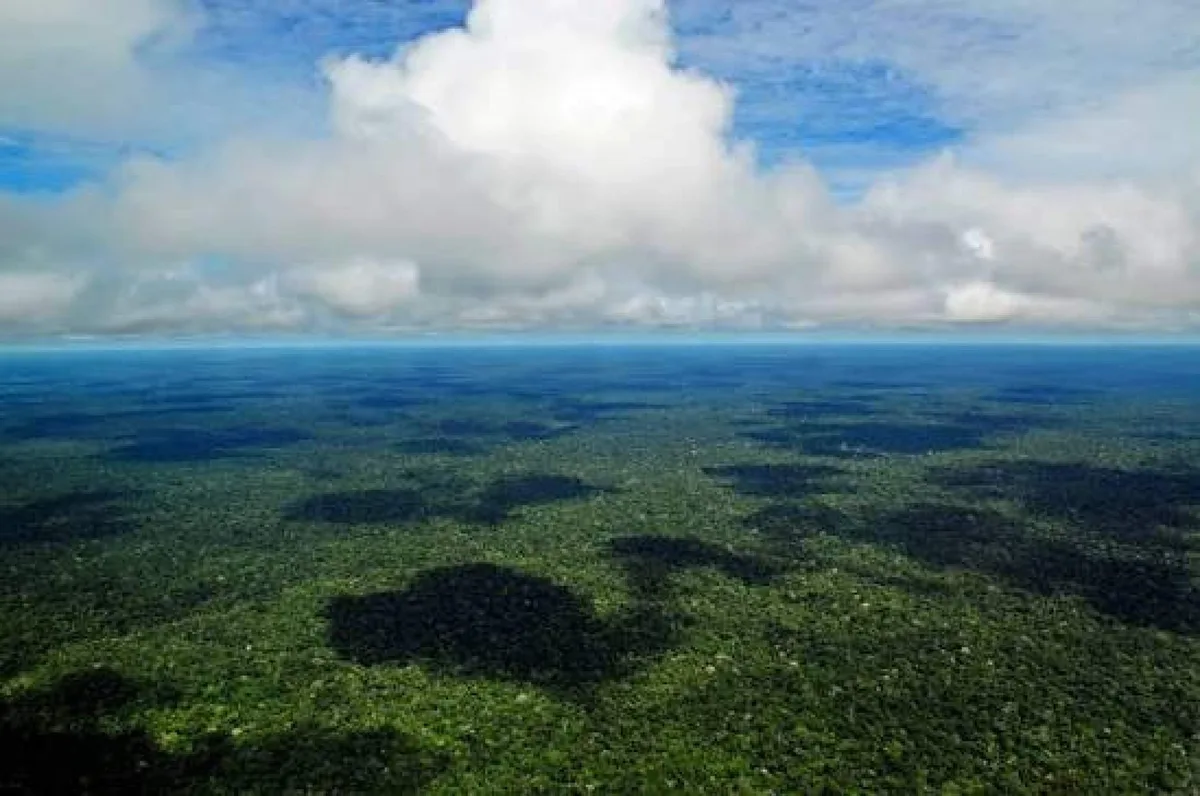 Amazônia se aproxima de ponto de não retorno, alerta relatório