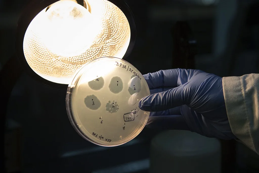 Cientistas fabricam os primeiros vírus biológicos criados por IA