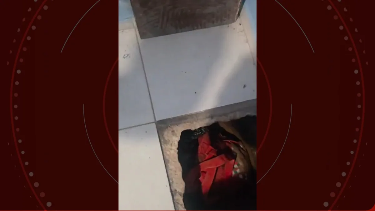 VÍDEO: polícia sente piso solto embaixo de cama e encontra drogas escondidas em fundo falso no chão de casa, no Paraná