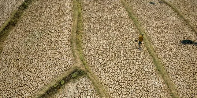 El Niño : l’ONU prévoit un phénomène « de très forte intensité » jusqu’en février 2027