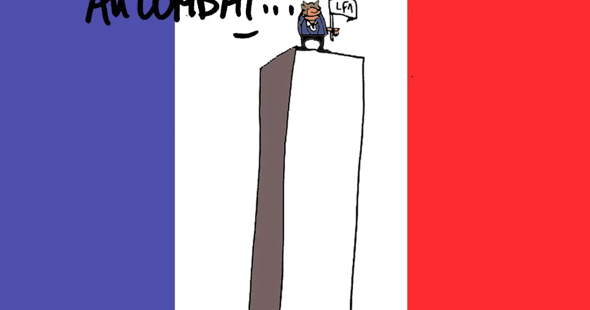 Humour. Le dessin du 24 août : Mélenchon et Glucksman au combat