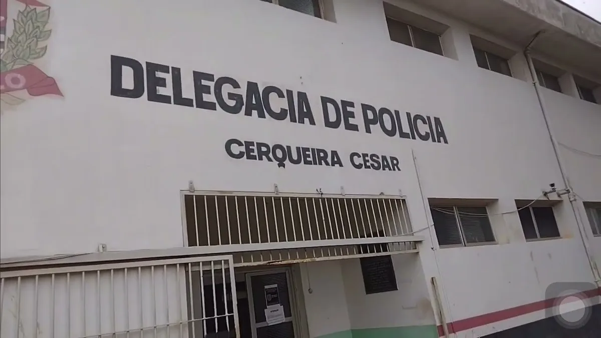 Filhote de cachorro é morto a pauladas em Cerqueira César; polícia investiga o caso