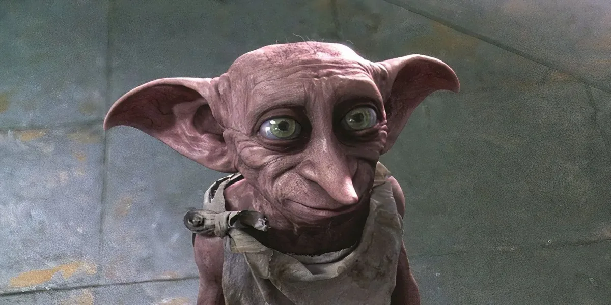 Fãs de Harry Potter obrigam empresa de energia a mudar de rota para preservar túmulo de Dobby