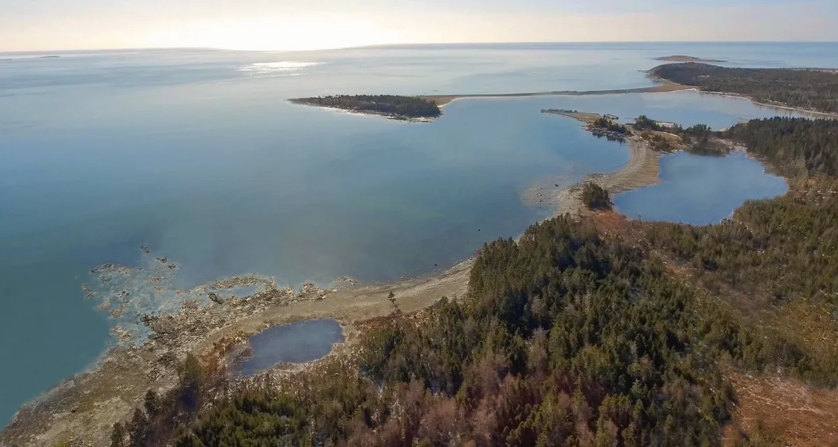 Crown lease signed for Nova Scotia whale refuge
