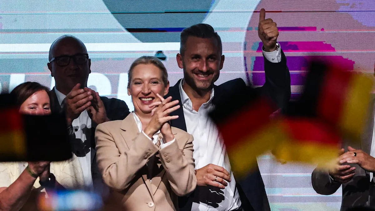 Brisante Umfrage vor Sachsen-Anhalt-Wahl - So denken die Deutschen wirklich über die AfD