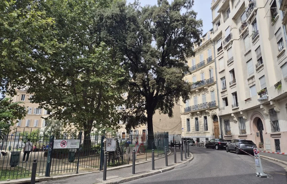 Marseille : « On entend crier du matin au soir »… Face à la consommation de crack dans les rues, les riverains démunis