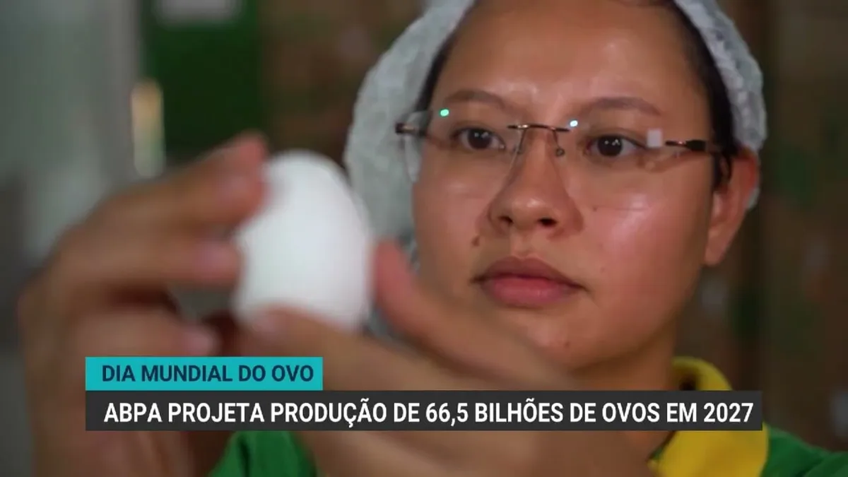 Dia Mundial do Ovo: Brasil projeta produção de 66,5 bilhões em 2027