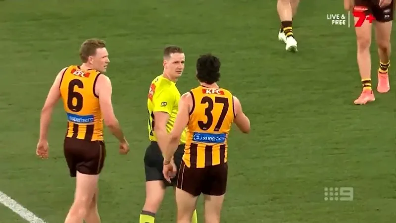 Hawks pair likely to face scrutiny for umpire discussion