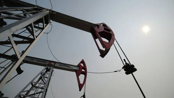 Роснедра повторно выставили на торги два нефтегазовых участка