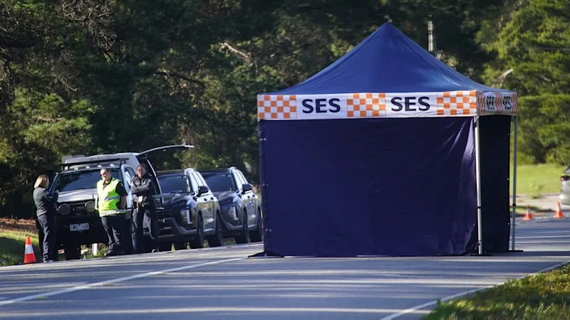Man arrested after hit-run that killed elderly woman in Melbourne’s south-east
