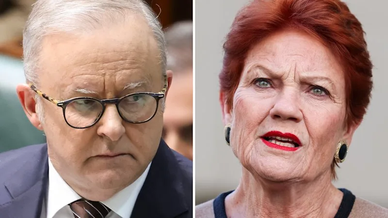 Hanson’s migration plan is sloppy, but Albanese has missed the moment