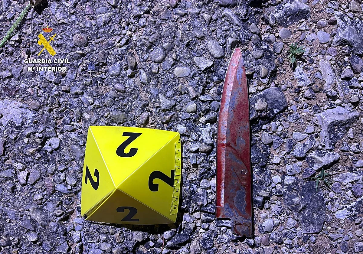 Apuñala a una mujer tras atraerla con una falsa oferta de trabajo y la abandona malherida en Carcaixent