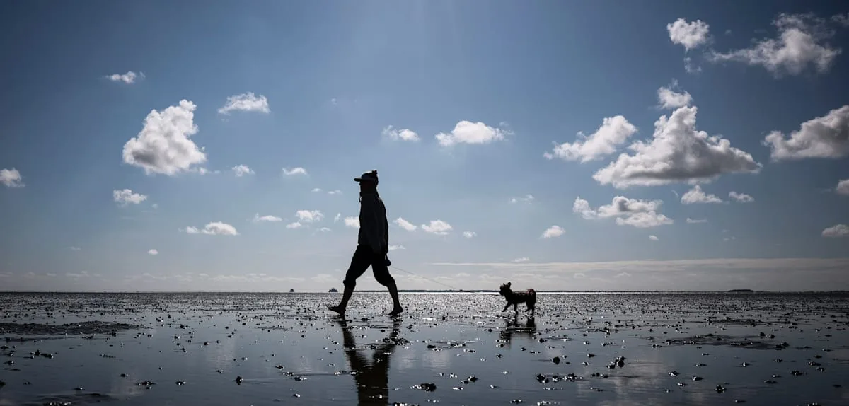 40 Jahre Nationalpark Wattenmeer – Verbände fordern Aktionsprogramm zum Schutz