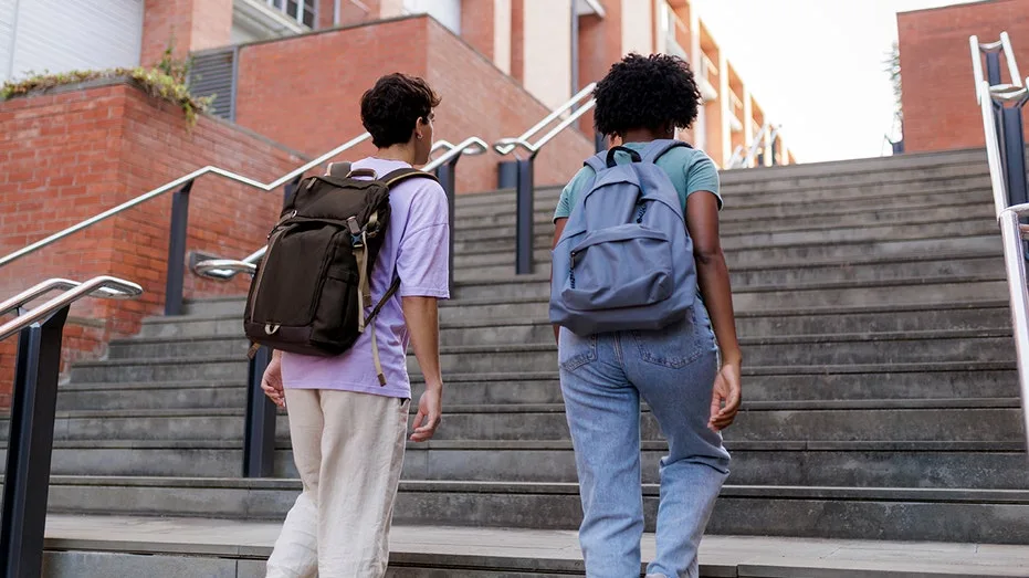 California sociology professor cited 'irony' in removing ACT/SAT not fixing racial disparities as intended