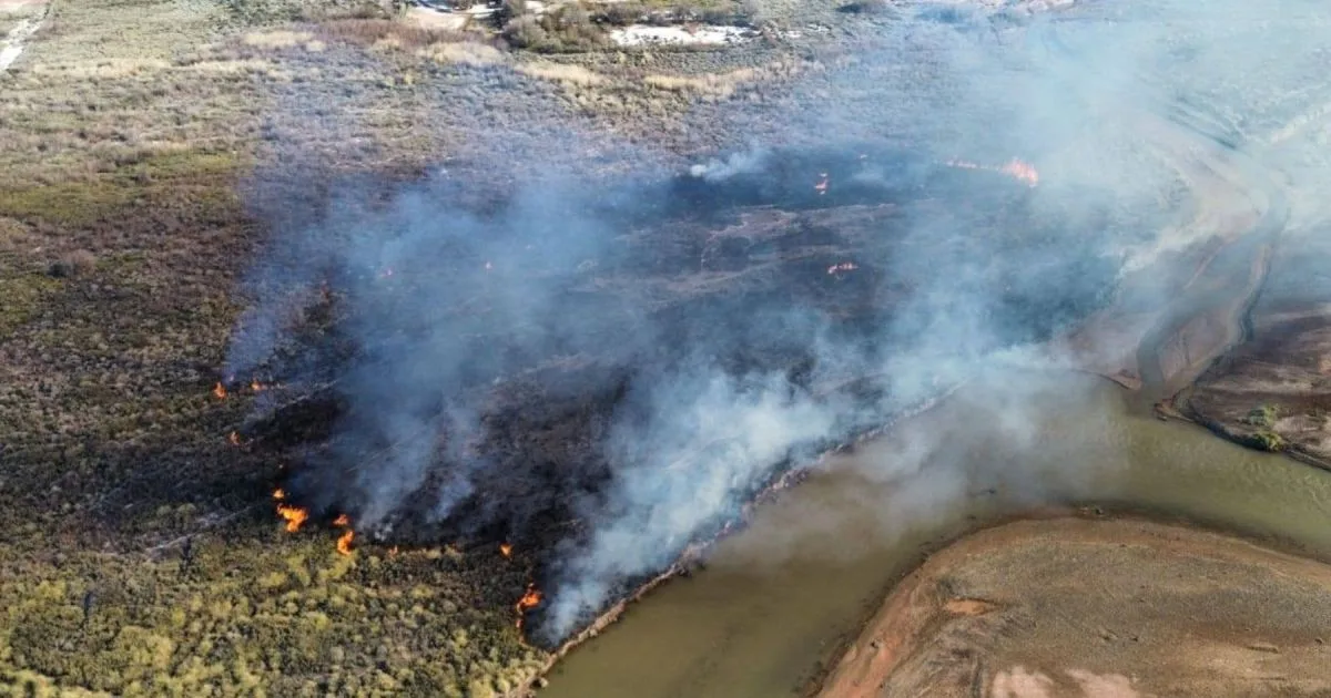 Feroz incendio en Rincón de los Sauces: tras horas de trabajo contra el viento, bomberos lograron controlarlo