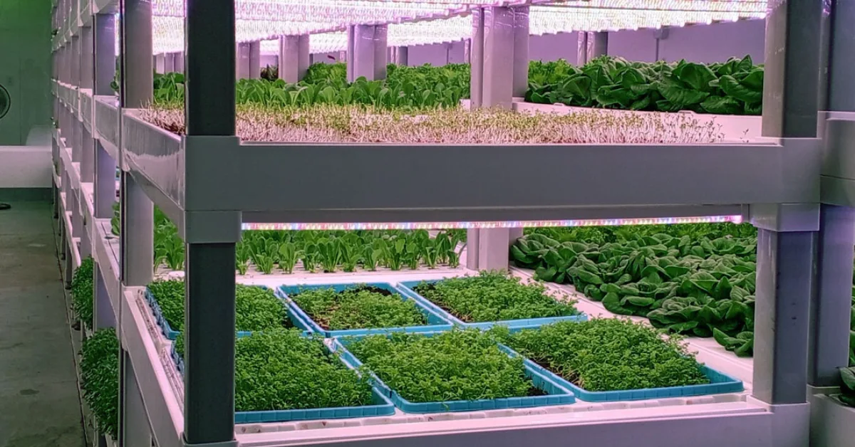 Sviaa: La agricultura tradicional ya no responde con eficiencia a los desafíos climáticos