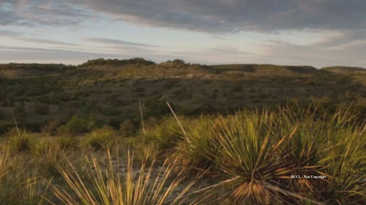 Chicken chain co-founder restores 3,000-acre Texas ranch, revives lost springs