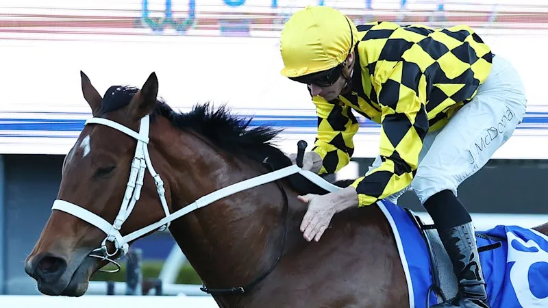 Autumn Glow crowned Australia’s best racehorse on huge night for Arrowfield