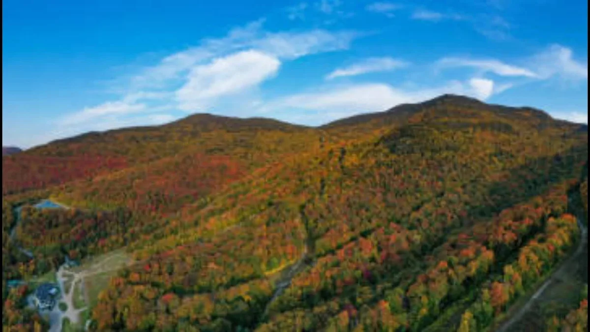 Vermont to expand Snake Mountain WMA and secure 949 acres of timber rights