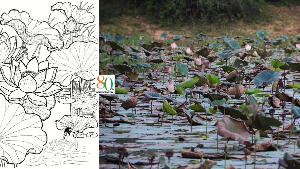 Independence Day 2026: A hidden lake of lotuses, and the India I keep seeking