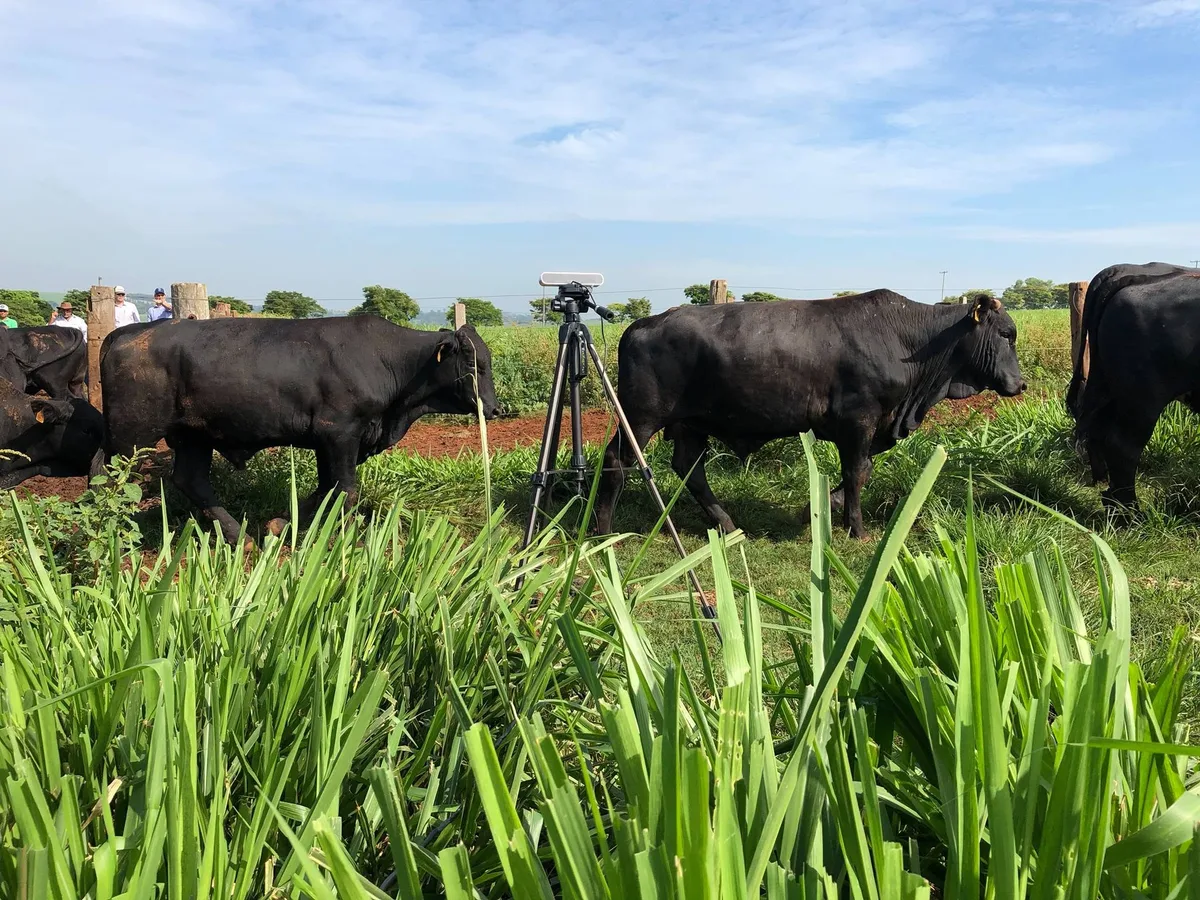 Agtechs ganham força no Espírito Santo e mais que triplicam em seis anos