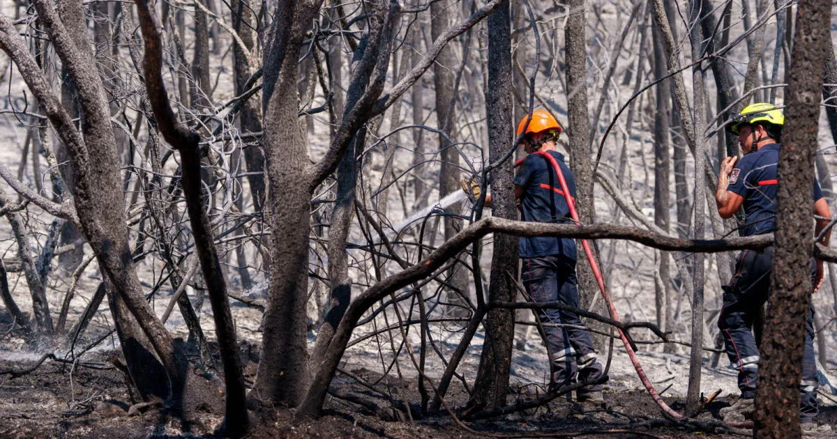 Météo. Un feu ravage plus de 400 hectares dans les Landes, au pic d'une canicule qui dépasse celle de 2003, l'essentiel de ce jeudi